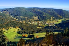 Les Schwarzwald
