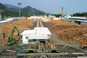Tri otázky o drevospracujúcom sektore v Slovenskej republike