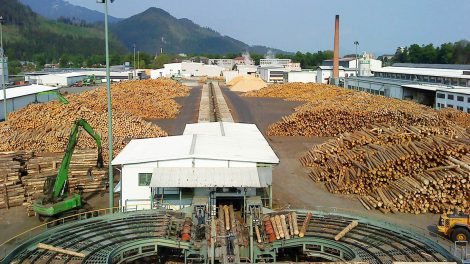 Tri otázky o drevospracujúcom sektore v Slovenskej republike